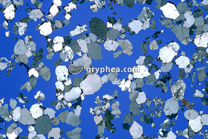 Grès mise en évidence des lacunes LPA x3 - gryphea.com